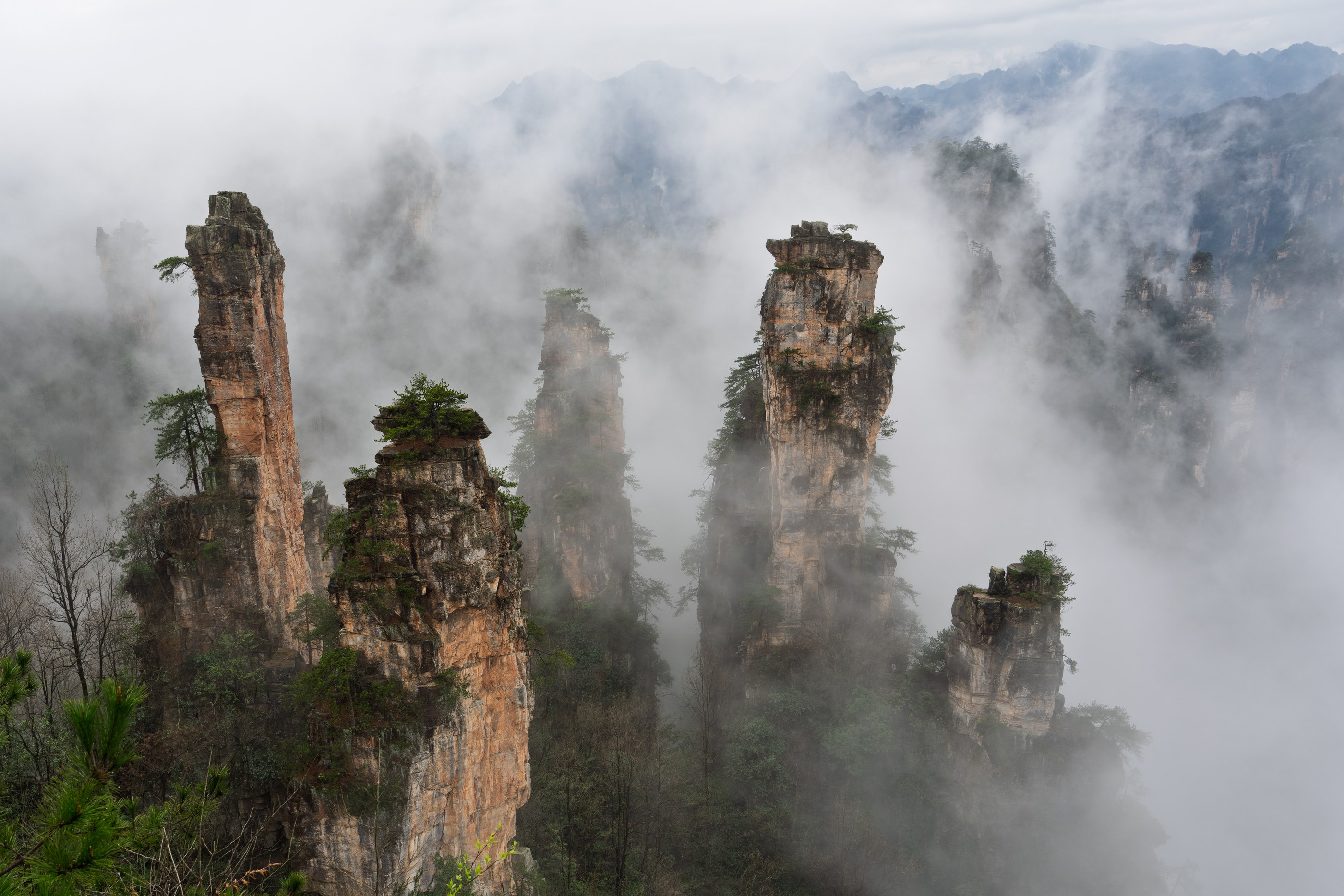 Tall orange-gray rock pillars topped with trees emerge through white mist, with distant cliffs behind them.