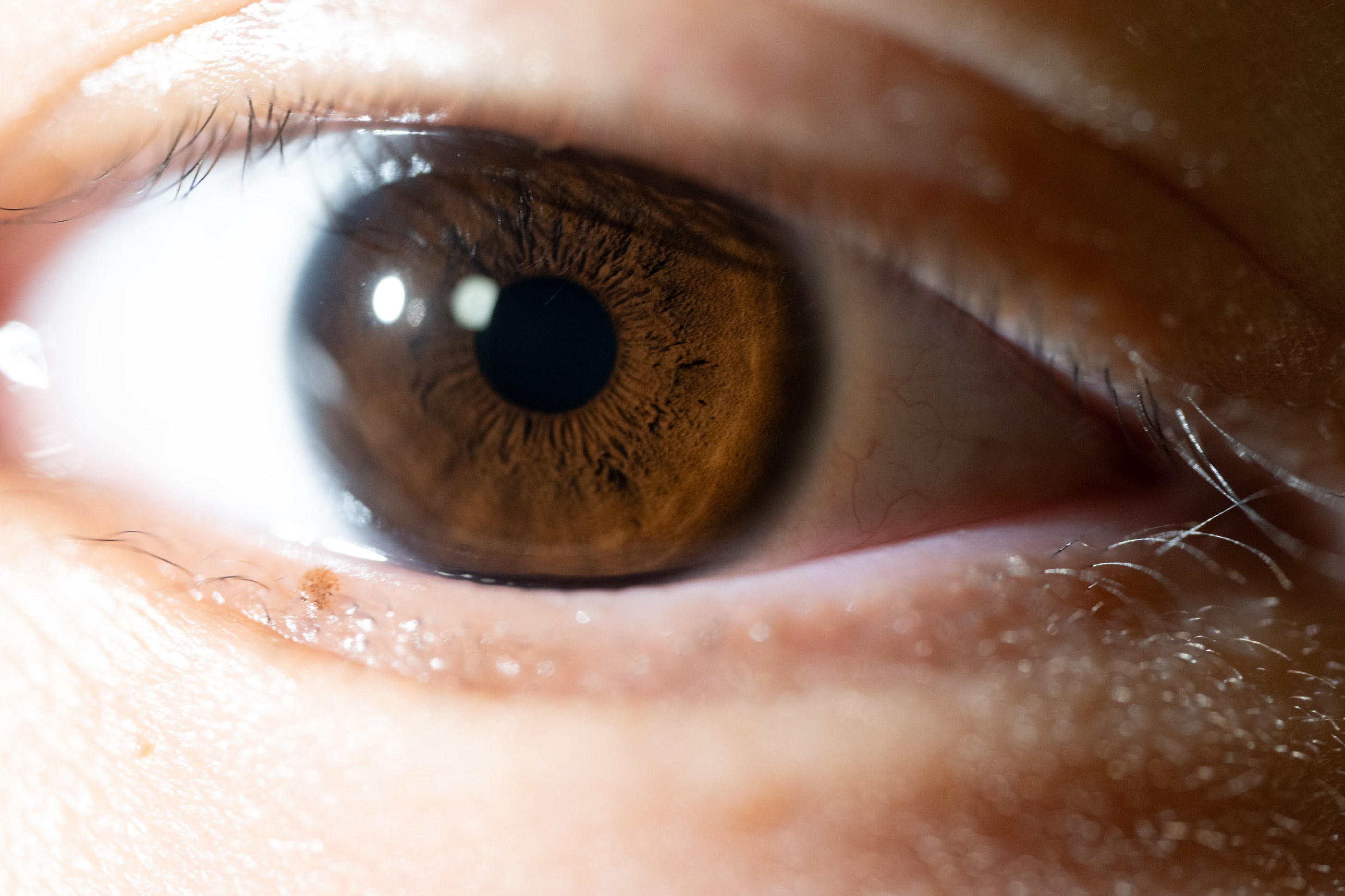 The intricate patterns of a human iris, photographed close up.